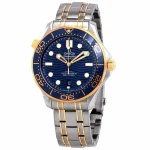 Omega Seamaster Master Gold