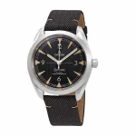 Omega Seamaster Railmaster Black