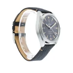 Omega Seamaster Railmaster Black