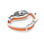 Seamaster Planet Ocean